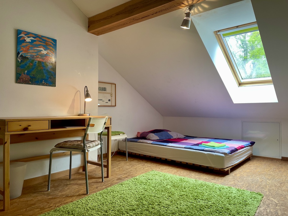 Dach Option